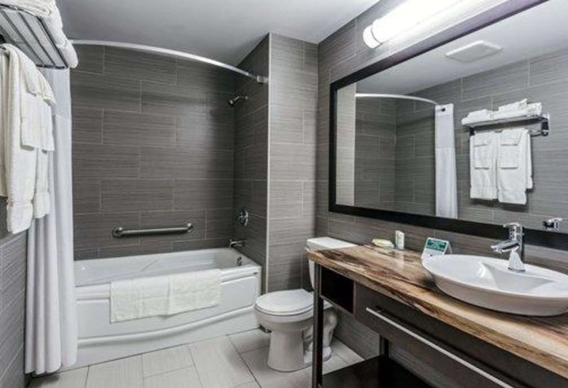 ホテル Quality Inn & Suites