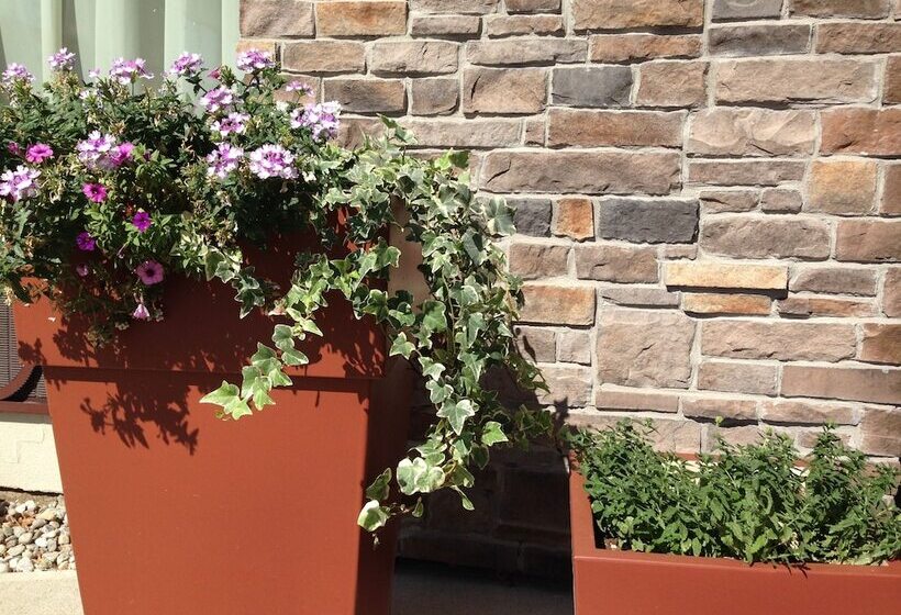 호텔 Quality Inn & Suites 5585 Ambler Drive Mississauga Ontario