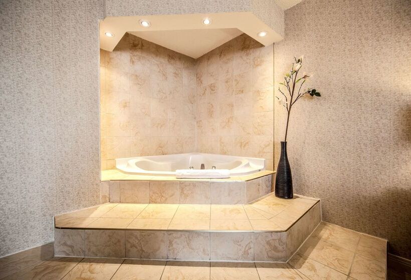 Radisson Hotel Montreal Airport