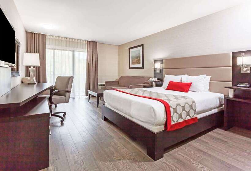 酒店 Ramada By Wyndham Ottawa On The Rideau