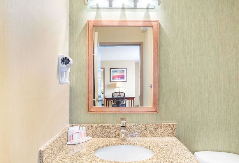 ホテル Ramada By Wyndham Williams Lake