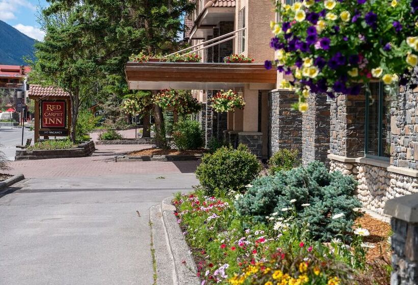 בית מלון כפרי Red Carpet Inn