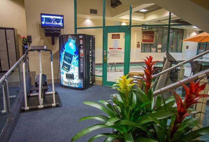 فندق Rosedale On Robson Suite