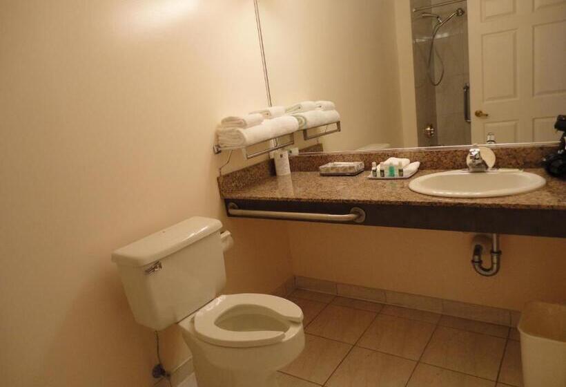 فندق Rosedale On Robson Suite