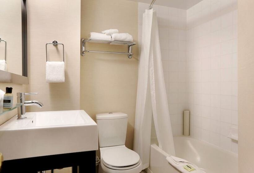 Sandman Hotel Vancouver Downtown