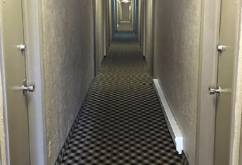 酒店 The Falls Family Lodge