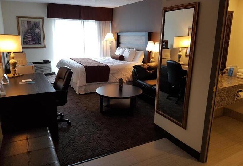 هتل Days Inn By Wyndham Sudbury & Conference Centre