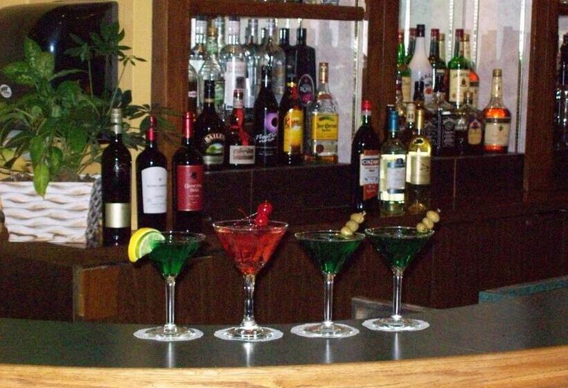 هتل Days Inn By Wyndham Sudbury & Conference Centre