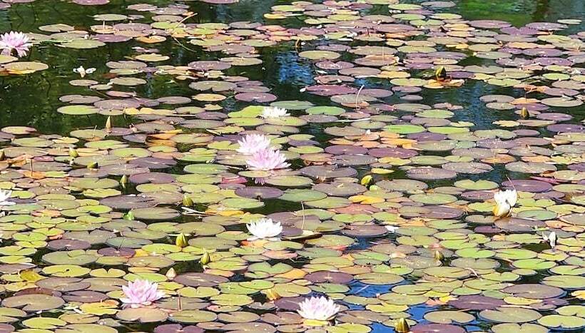 Отель Surestay By Best Western Richmond Vancouver Airport