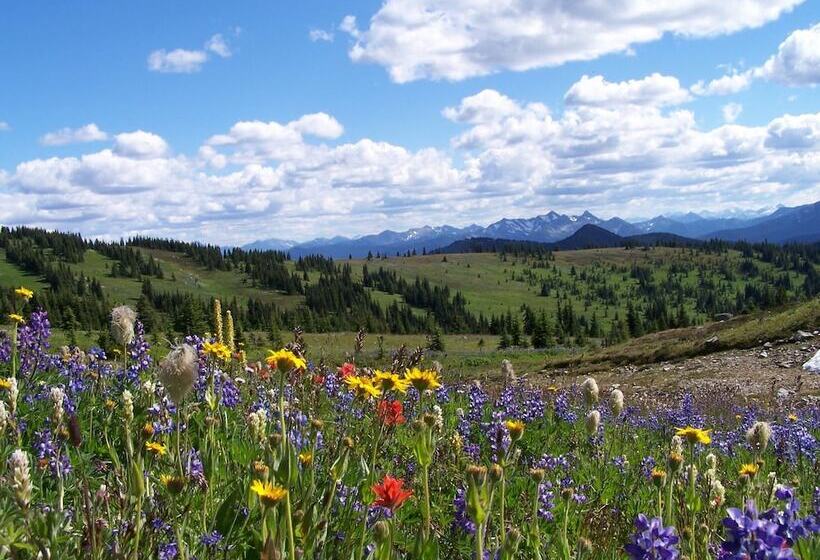 Manning Park Resort