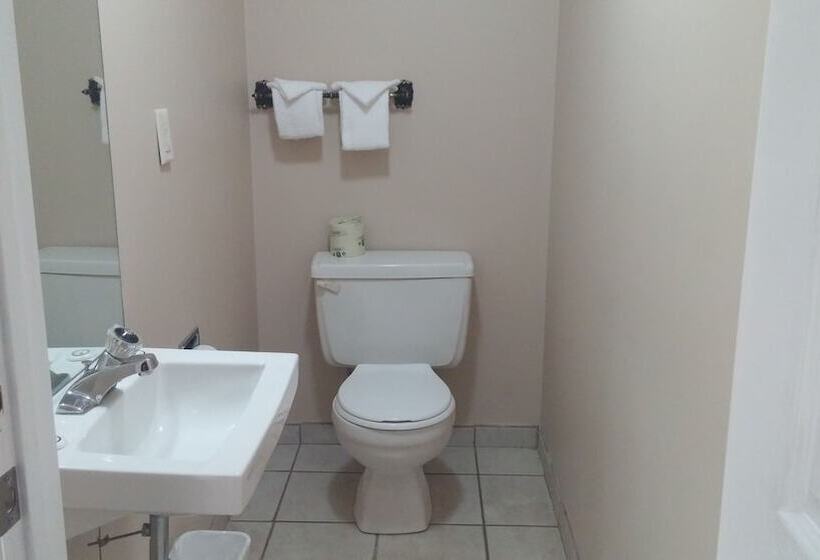 汽车旅馆  Canadas Best Value Inn & Suites Vernon