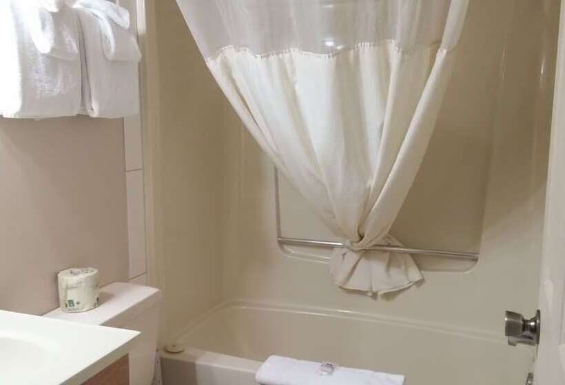 汽车旅馆  Canadas Best Value Inn & Suites Vernon