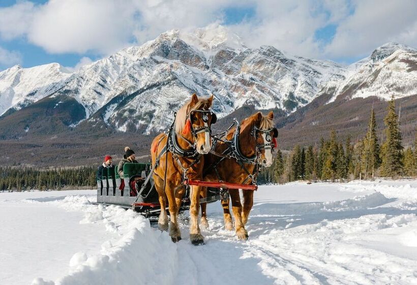 استراحتگاه Pyramid Lake Lodge