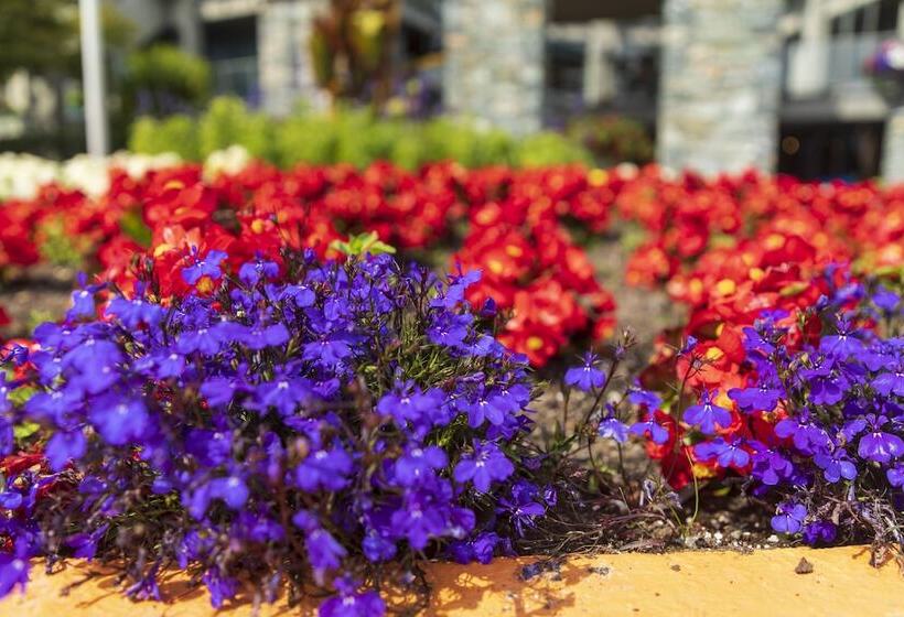 酒店 Accent Inns Vancouver Airport