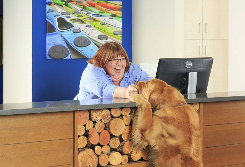 酒店 Accent Inns Vancouver Airport