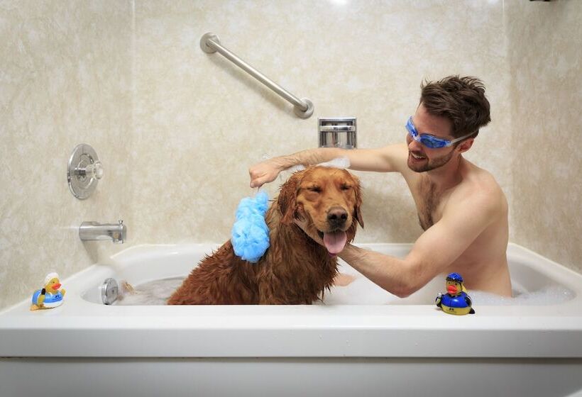 酒店 Accent Inns Vancouver Airport