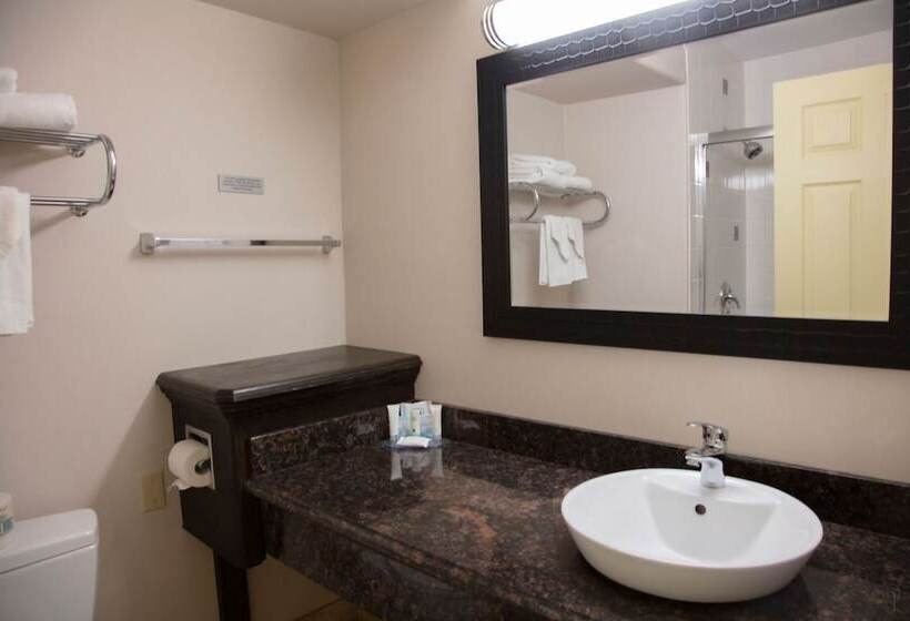 فندق All Stay Suites