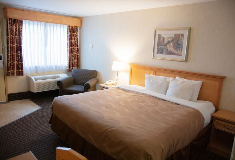 فندق All Stay Suites