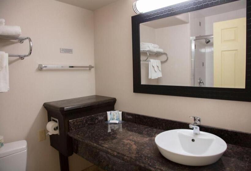 فندق All Stay Suites