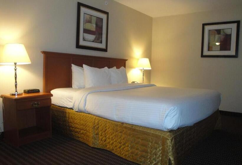 فندق All Stay Suites