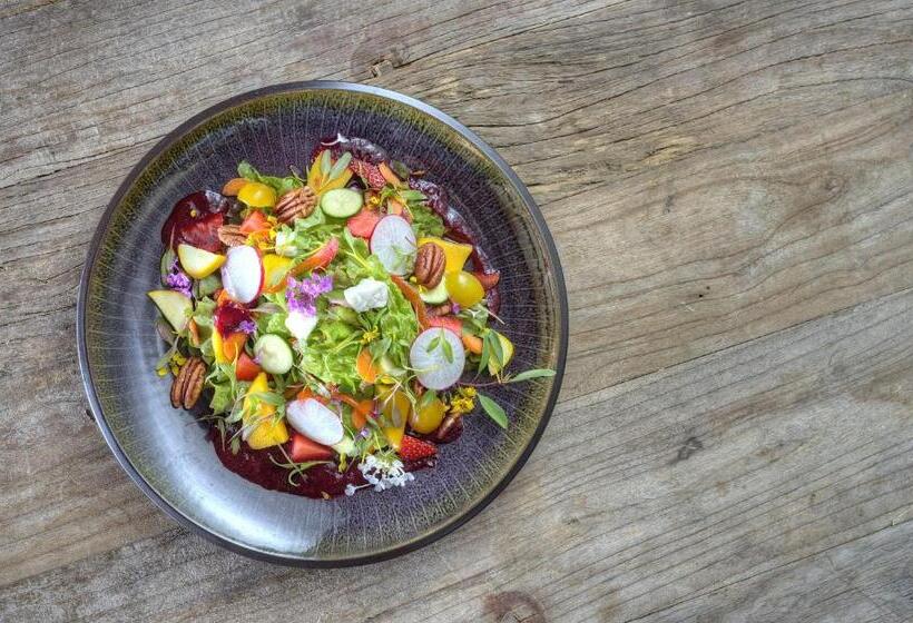 فندق Alta Las Palomas