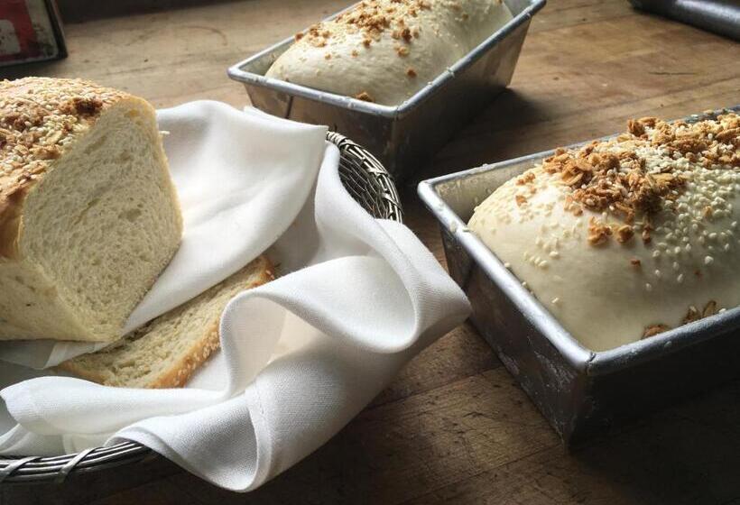 فندق Alta Las Palomas