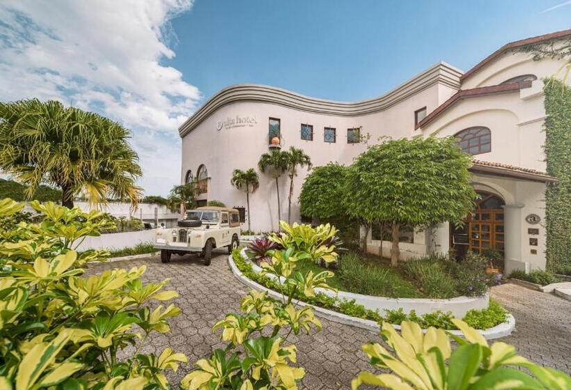 فندق Alta Las Palomas