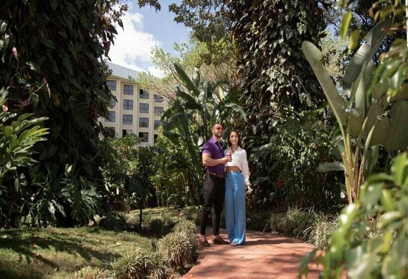 Отель Barceló San José