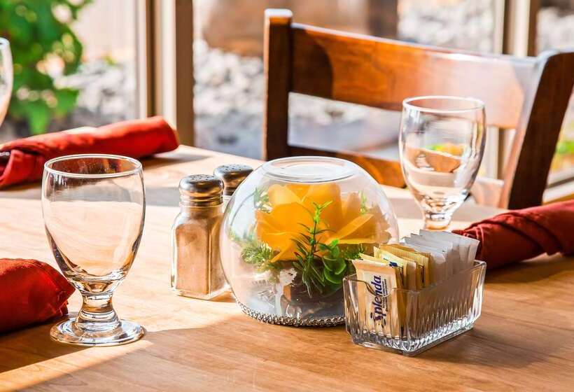 فندق Best Western Wayside Inn