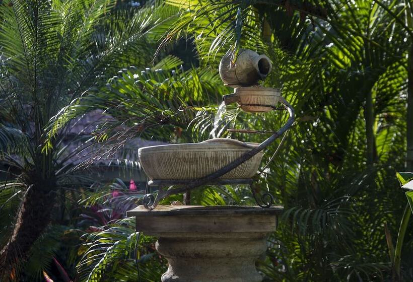 호텔 Capitan Suizo Beachfront Boutique