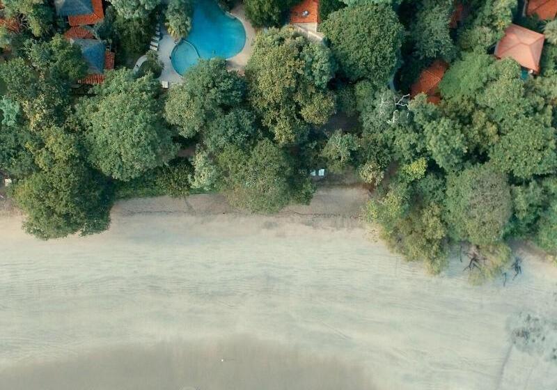 호텔 Capitan Suizo Beachfront Boutique