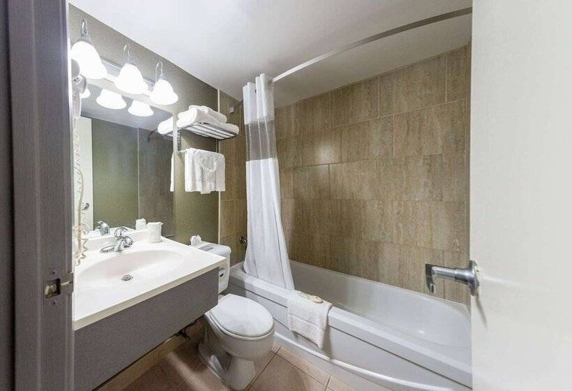 בית מלון כפרי Days Inn By Wyndham Fallsview