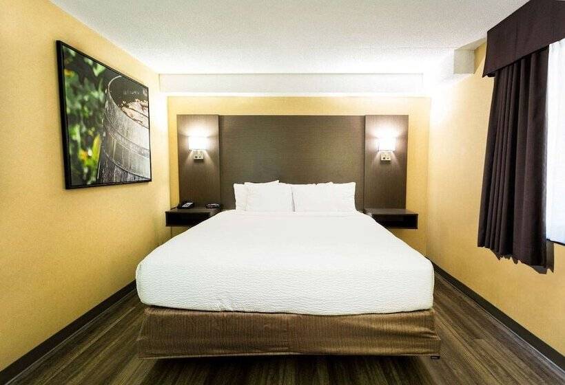 בית מלון כפרי Days Inn By Wyndham Fallsview