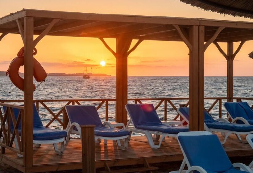 בית מלון כפרי Dome