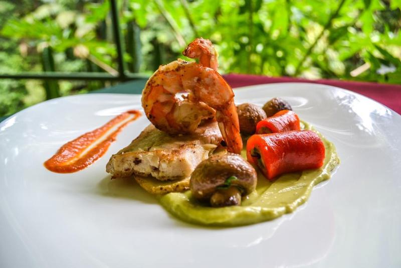 فندق El Tucano & Spa