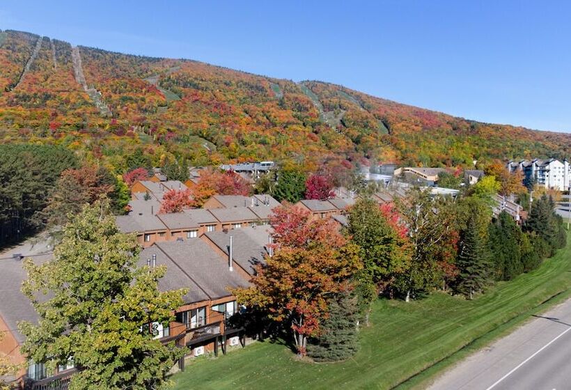 ホテル Hebergement Montsteanne Condos