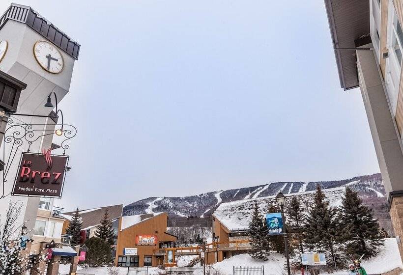 ホテル Hebergement Montsteanne Condos