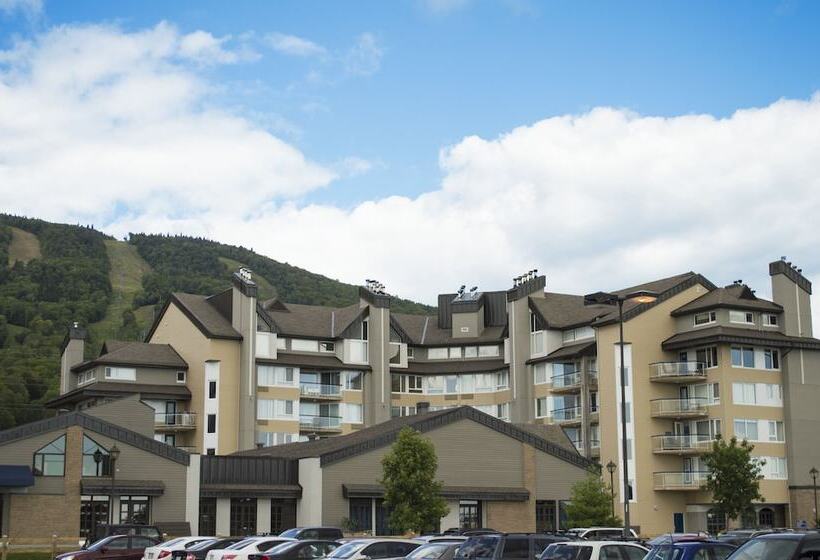 ホテル Hebergement Montsteanne Condos