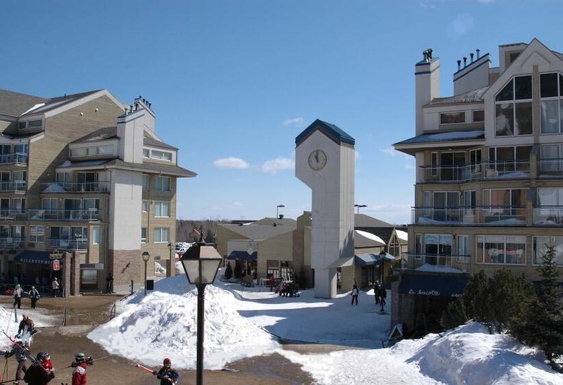 ホテル Hebergement Montsteanne Condos