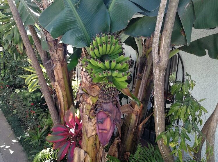 فندق Le Bergerac