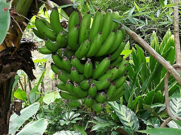 فندق Le Bergerac