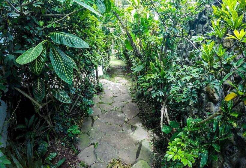 فندق Le Bergerac