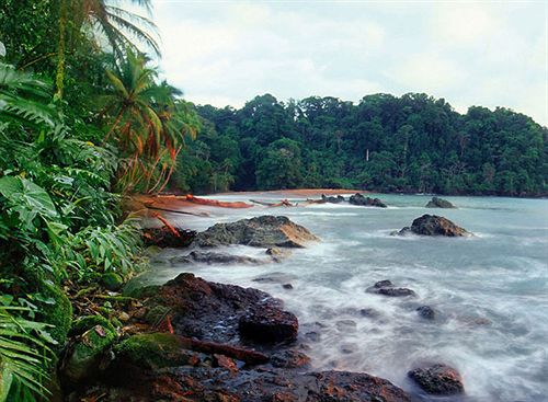 فندق Playa Chiquita Lodge