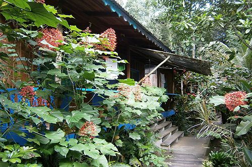 فندق Playa Chiquita Lodge