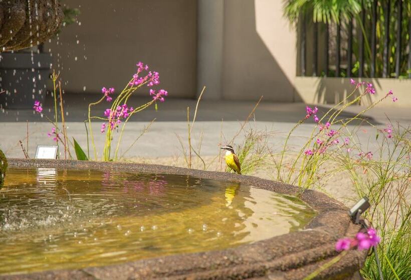 ホテル Poblado Plaza