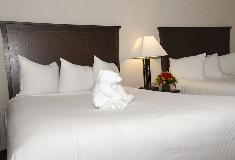 فندق Quality Inn & Suites Yellowknife