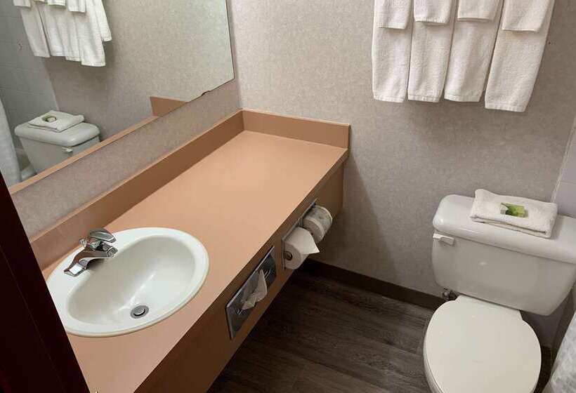 فندق Rodeway Inn