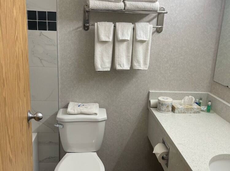 فندق Rodeway Inn