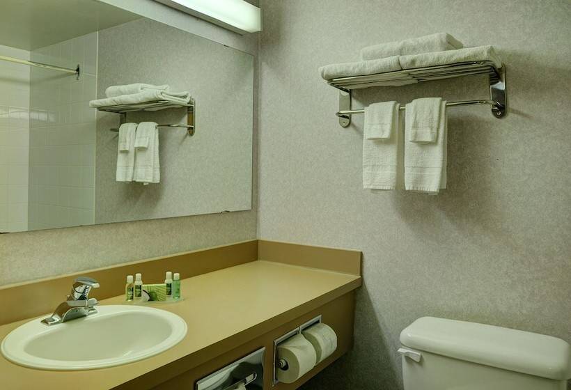 فندق Rodeway Inn