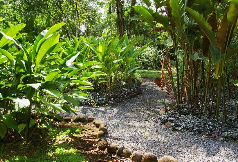 Отель Selva Verde Lodge